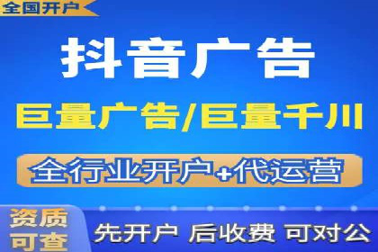 竞价广告投放技巧：如何提高转化率——案例分析